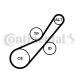 CONTINENTAL CTAM Keilrippenriemensatz 6PK800K2