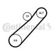 CONTINENTAL CTAM Keilrippenriemensatz 7PK880K1