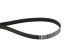 CONTINENTAL CTAM Keilrippenriemen 7PK1195 ELAST