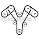 CONTINENTAL CTAM Zahnriemensatz CT1096K2PRO