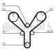 CONTINENTAL CTAM Zahnriemen CT1147