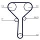 CONTINENTAL CTAM Zahnriemen CT1254
