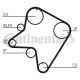CONTINENTAL CTAM Zahnriemen CT762