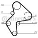 CONTINENTAL CTAM Zahnriemen CT775
