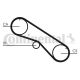 CONTINENTAL CTAM Zahnriemen CT818