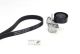 CONTINENTAL CTAM Keilrippenriemensatz 6PK1000K1