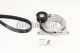 CONTINENTAL CTAM Keilrippenriemensatz 6PK1165K1