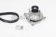 CONTINENTAL CTAM Keilrippenriemensatz 6PK1173K2