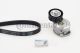 CONTINENTAL CTAM Keilrippenriemensatz 6PK1244K2