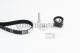CONTINENTAL CTAM Zahnriemensatz CT1244K2