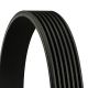 CONTINENTAL CTAM Keilrippenriemen 7PK1685 EXTRA