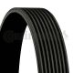 CONTINENTAL CTAM Keilrippenriemen 8PK1755