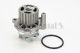 CONTINENTAL CTAM Wasserpumpe, Motorkühlung WP6003