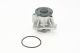 CONTINENTAL CTAM Wasserpumpe, Motorkühlung WPS3365