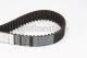 CONTINENTAL CTAM Zahnriemen CT828