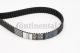 CONTINENTAL CTAM Zahnriemen CT968