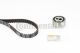 CONTINENTAL CTAM Zahnriemensatz CT607K1