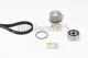 CONTINENTAL CTAM Wasserpumpe + Zahnriemensatz CT718WP1
