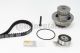 CONTINENTAL CTAM Wasserpumpe + Zahnriemensatz CT874WP2