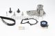 CONTINENTAL CTAM Wasserpumpe + Zahnriemensatz CT881WP2