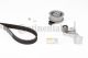CONTINENTAL CTAM Zahnriemensatz CT909K10