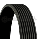 CONTINENTAL CTAM Keilrippenriemen 8PK2035