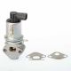 BorgWarner AGR-Ventil 710778D