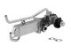 BorgWarner AGR-Modul 710863D/1