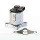 BorgWarner AGR-Ventil 710961D