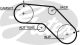 GATES Zahnriemen 5504XS