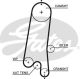 GATES Zahnriemen 5597XS