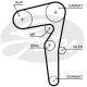GATES Zahnriemen 5646XS