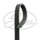 GATES Keilrippenriemen 6DPK1360
