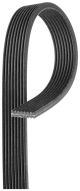 GATES Keilrippenriemen 8DPK1355
