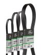 GATES Keilrippenriemen CB0073