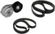 GATES Keilrippenriemensatz K026PK1250