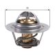 GATES Thermostat, Kühlmittel TH45975G1