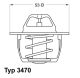 BorgWarner (Wahler) Thermostat, Kühlmittel 3470.89D50