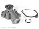 BLUE PRINT Wasserpumpe, Motorkühlung ADC49153