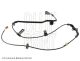 BLUE PRINT Sensor, Raddrehzahl ADH27173