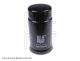 BLUE PRINT Kraftstofffilter ADJ132310
