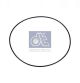 DT Spare Parts Dichtring 10.30652