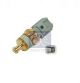 DT Spare Parts Sensor, Kühlmitteltemperatur 13.43125