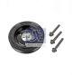 DT Spare Parts Riemenscheibe, Kurbelwelle 13.43578