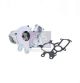 DT Spare Parts Wasserpumpe, Motorkühlung 14.16050