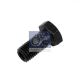 DT Spare Parts Hohlschraube 1.12121