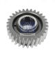 DT Spare Parts Zahnrad, Ausgleichswelle 1.16014