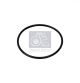 DT Spare Parts Dichtring 1.16266