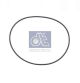 DT Spare Parts Dichtring 1.24081