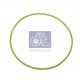 DT Spare Parts Dichtring 1.24082